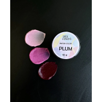 Барвник водорозч. пор. sweet color Plum 10 г